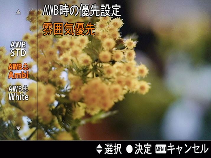 I[gzCgoX̐ݒ͕WA͋CDAzCgD3ނIׂ