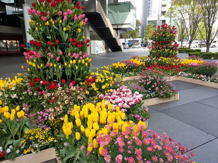 �K�[�x����`���[���b�v�ȂǐF�Ƃ�ǂ�̉Ԃ��B�e�B�����������ɋ߂��F�̍Č�����