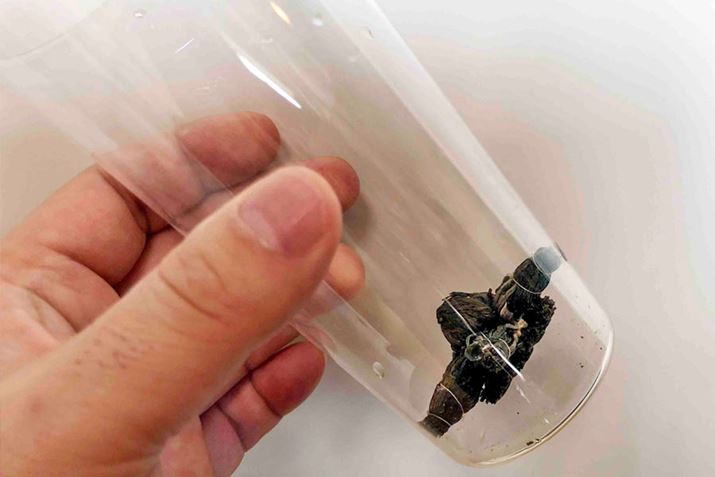 M𒍂KXeɒtAM𒍂ŉԂJ܂2`3҂܂Bł΂ӂ܂