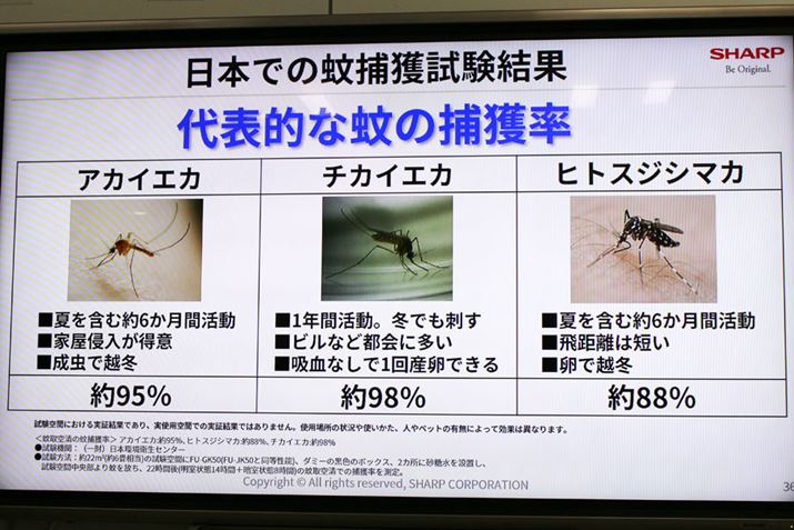 {ɑ3ނ̉̕ߊĺAԒႢqgXWV}Jł88