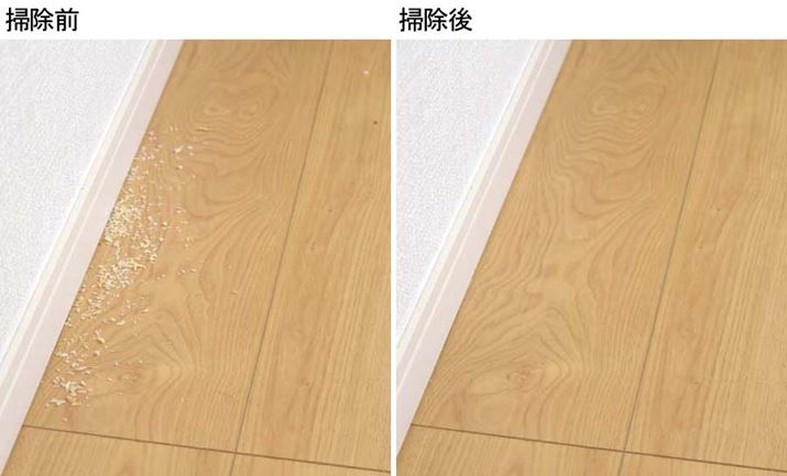 ǍۂɎTĂ^S~̒ʂALCɎ菜Ă