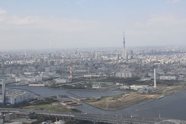 ړIn̓XJCc[ĈCɌwRv^[