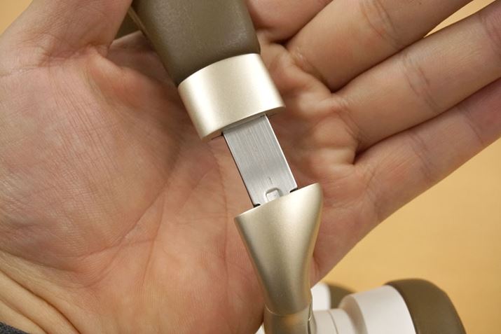 nK[̓A~_CLXgƂȂAϋvサĂ