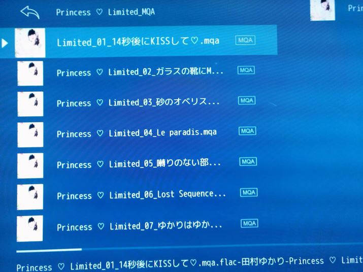 uDMR-UBZ2030vɃ_E[hMQAlbg[NoRŁuUDP-205vōĐł̂֗