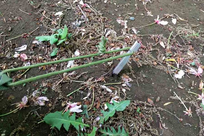 3������t���̃y�O�ŌŒ肵�܂�