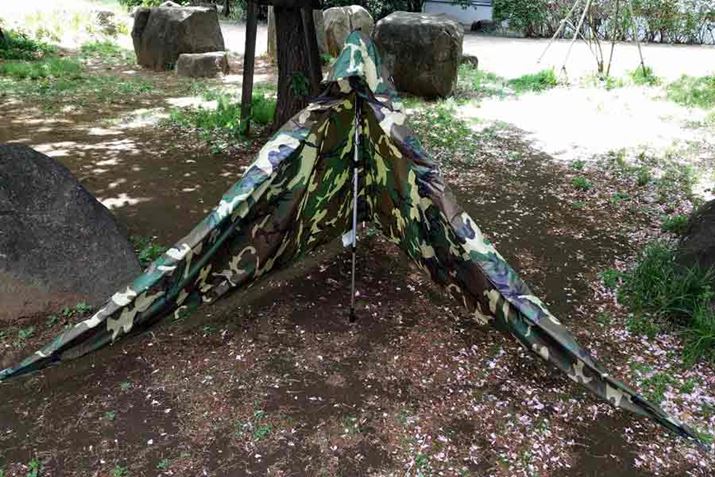 �セ���Ɍ����܂��������̕��ł̓r�N�Ƃ����܂���