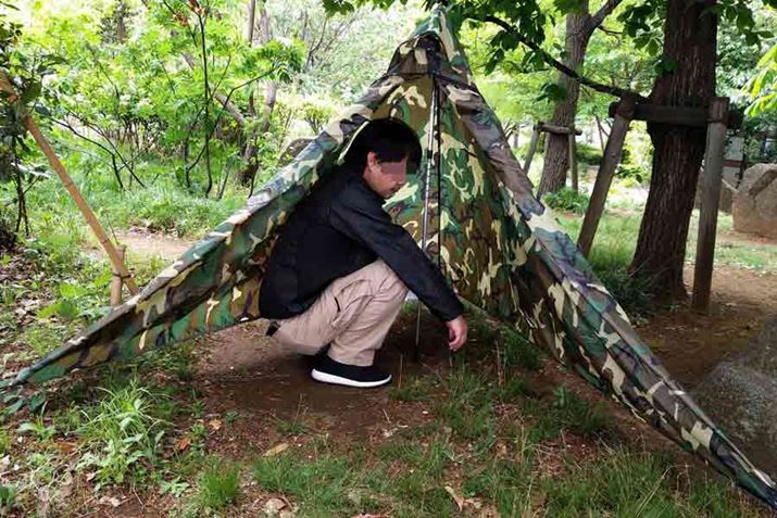 �傫���͊Ԍ�260×���s��150cm