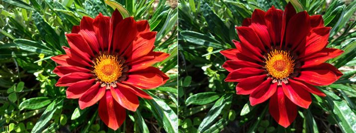 uZenFone 5vŉEuZenFone 4v