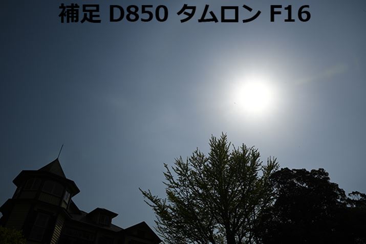 ^SP24-70mmł͌̉Eɑ傫ȃS[Xg