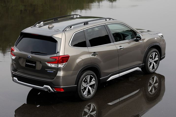 Xo V^utHX^[ṽAGNXeA