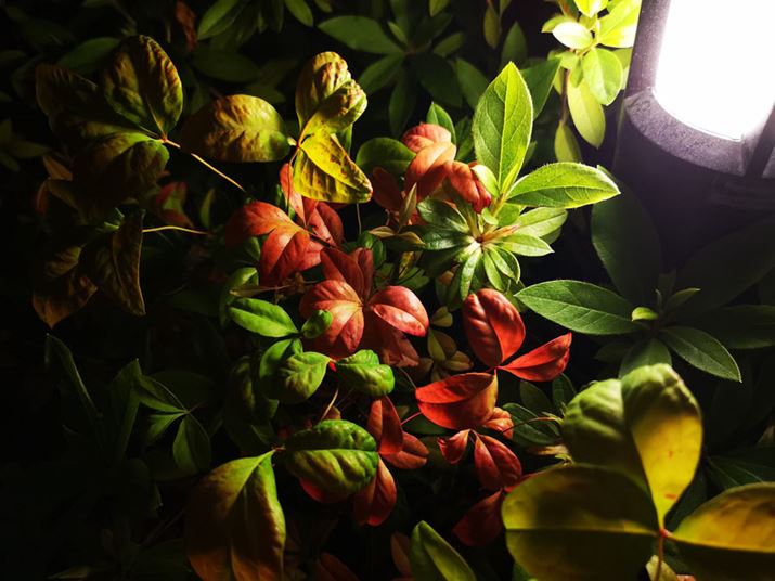 AeꂢɏoāAƑ1B͖i[hł͂ȂI[g[hŎBe