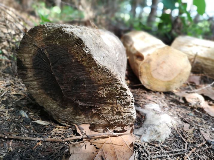 lł͂Ȃʑ̂̔wiڂƂ̓Ap[`֗BBeɂڂ̋𒲐߉\