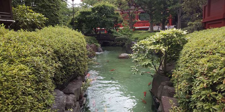 Ԃ̓{뉀BeB܂肾邪AN₩ڂɂ₳₩ȔFX