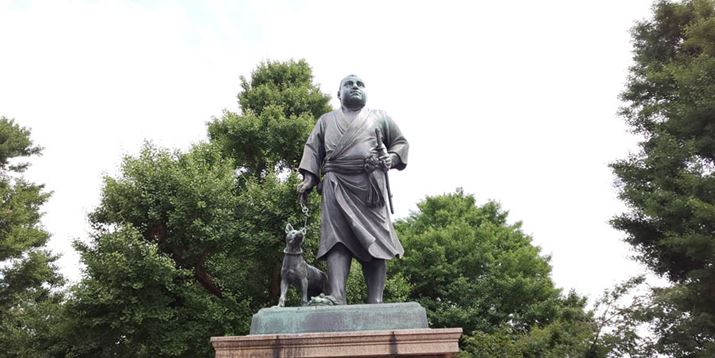 ̐B؉AƋ̖Í\}ƂȂȂ啔тĂ