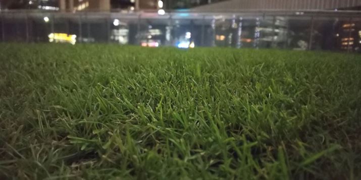 uwiڂv[hŎBeB\}̒Ƀsg킹A̎ӂ~ň͂ނ悤Ƀ{PL