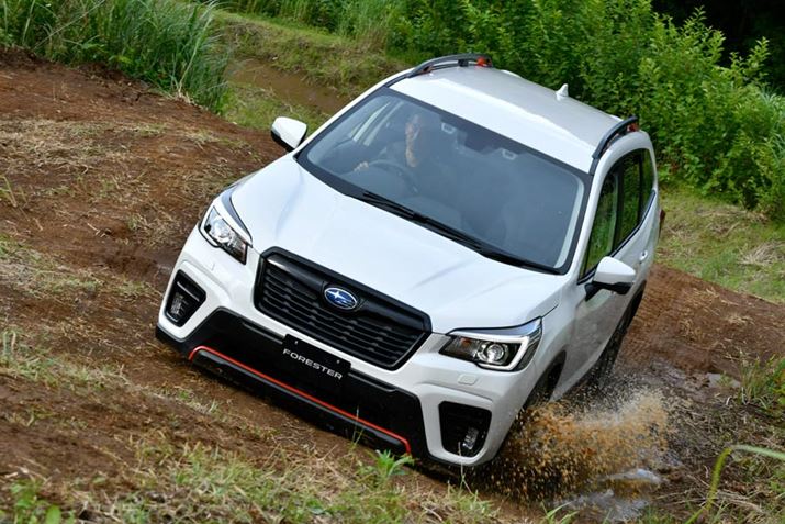 Xo V^tHX^[A_[gR[X̑sC[W