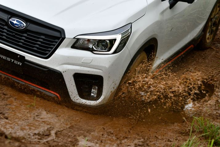 Xo V^tHX^[A_[gR[X̑sC[W