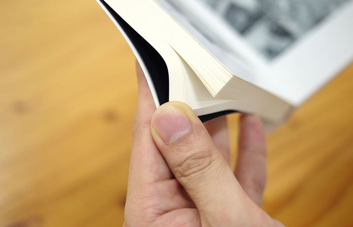 gĎۂ̃}K̂悤ȎGČĂ̂ʔł