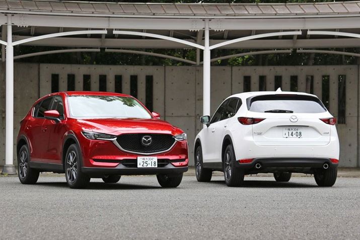 }c_uCX-5vK\fŉEN[fB[[f