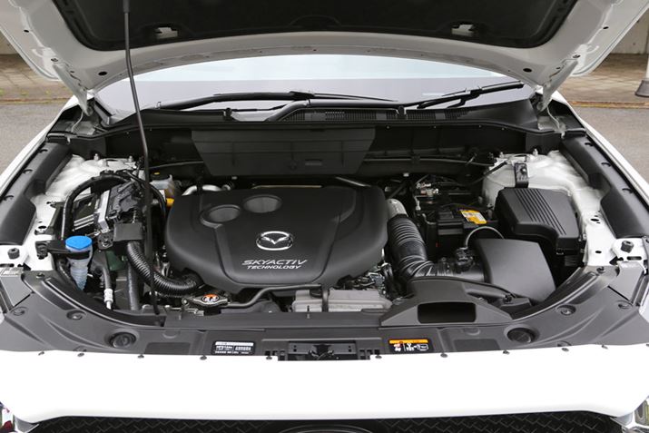 N[fB[[GW𓋍ڂ}c_uCX-5v