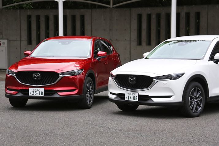 }c_uCX-5vK\fŉEN[fB[[f