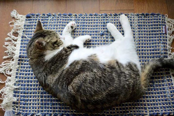 uLbgXNb`}bgv͂Q}bgƂĊ􂷂݂̂ł