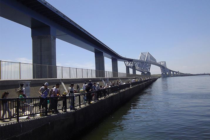 pԂ6:00`22:00BŏIꎞԂ20:30