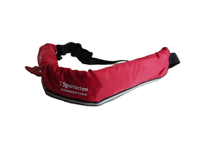 ϋvdʂ110kgBuDviCCSjF؍ς