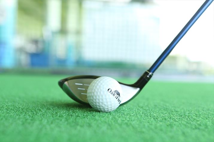 �D��̂悤�Ȋۂ��`��������\�[���̓k�P���悭�ċC�����悭�����Ă���܂�