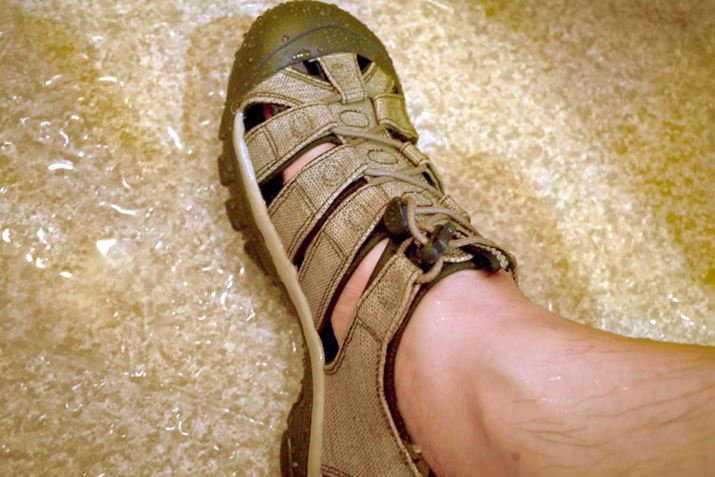 V[lqBʂĂdȂ邱ƂȂAKł