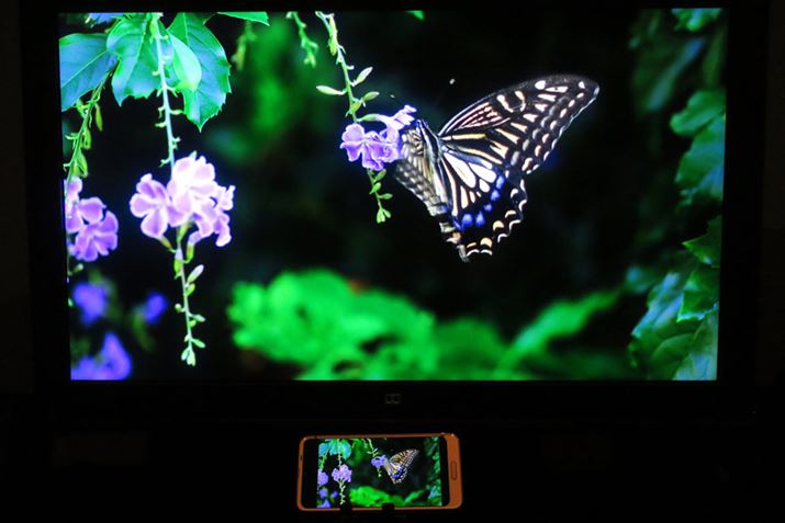 ʐ^ł͓Ɍ邪AڎłAQUOS R2͗΂N₩悤Ɋ