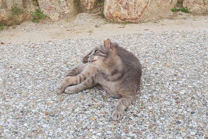 AICuVb^[̎BeBL𓮉BeĂA㑫Ŏ؂&#25620;uԂɃVb^[؂ꂽ