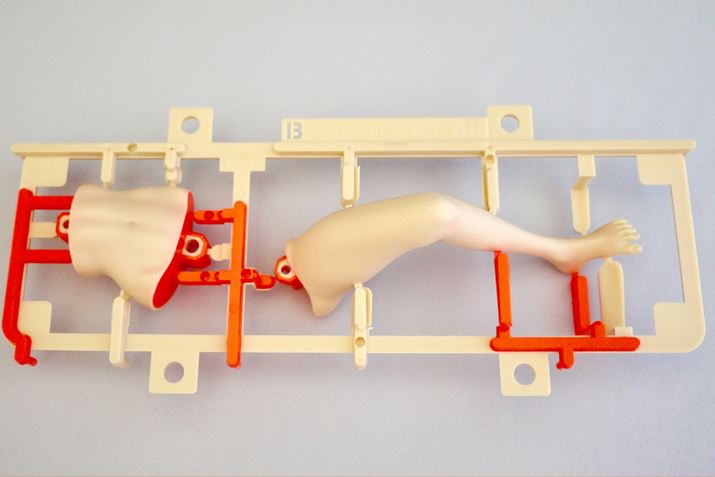 {fBƍr̃p[cłB[ȂĂAȈӖŎł