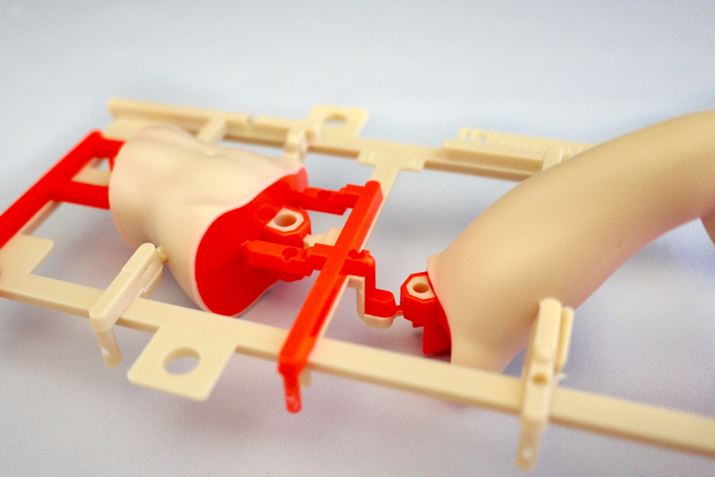 ɃC[hCWFNV̕ʐFĂ܂B畔IWF