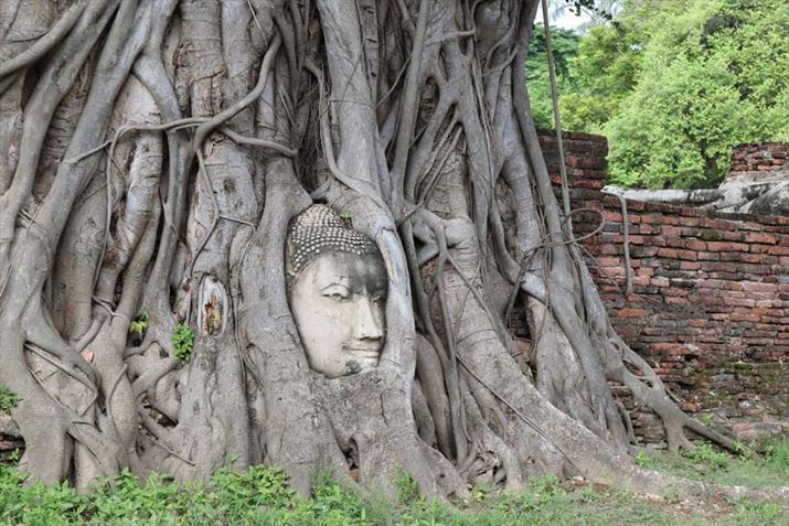 ^C̐EYuA^ՁvEOS Kiss MŎBe