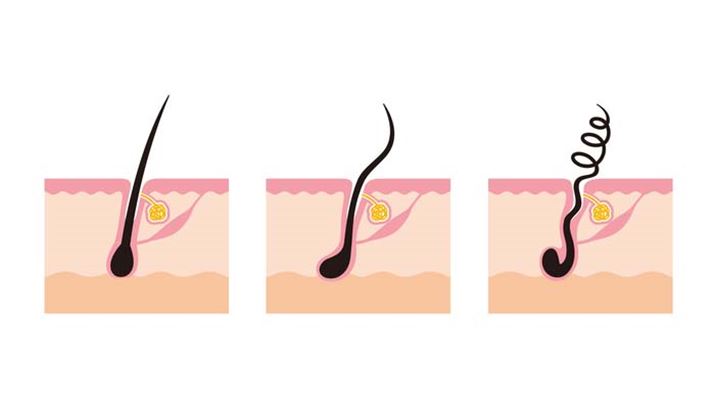 эь䂪ł邱ƂŁA˂̂锯kꂽт܂