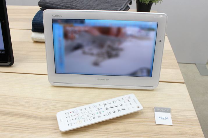 ^b`pl񓋍ڂȂ̂ŁAɂ͐pR