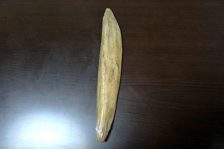 Ƃ킯ŁA߁i͐߁j𔃂Ă܂