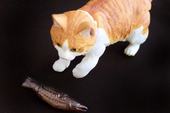 �ł��T�P�P�̂ł��A����ȗV�ѕ����ł�����