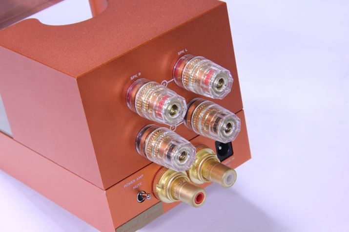 uERNESTOLO 50k EXv̔wʃC^[tFCXBAiORCA͂͂ɗpӂĂ