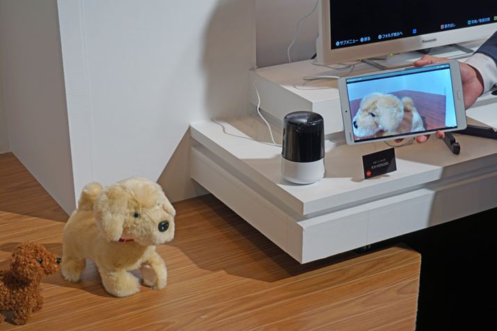 X}z̐pAvoRŊOo悩ybg̗lqmFł