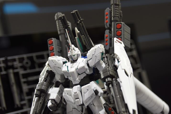 RG 1/144 tA[}[EjR[K_