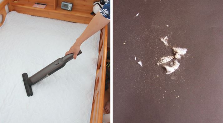 zcpmY𑕒ĉėp~pbh|Ă݂Aꂾ̃zR܂