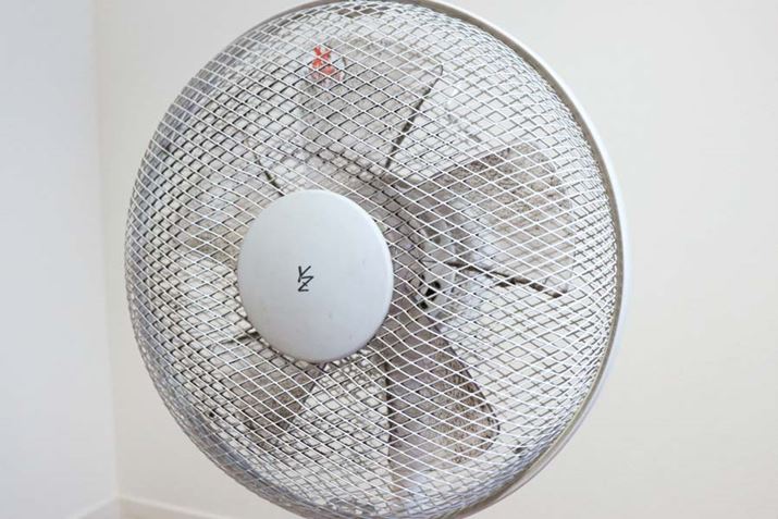 Ă݂܂傤Bɗ܂zR̂ŁAH̎Ȏ咣