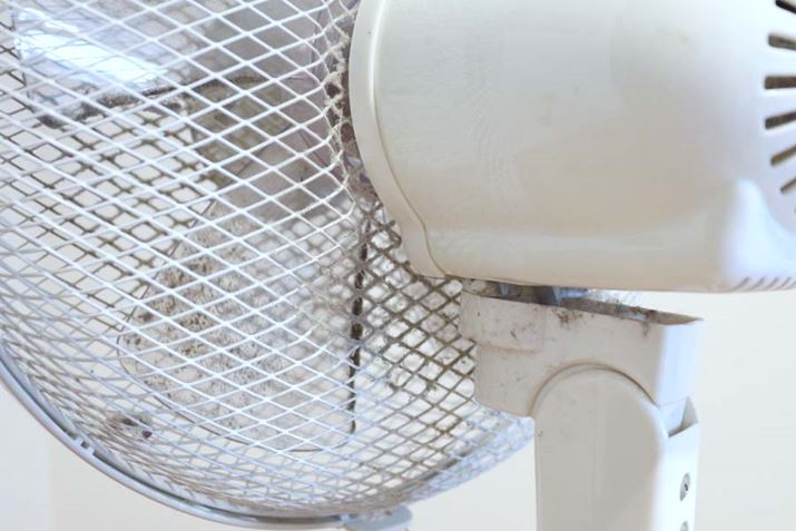 @́gȂhBԂɂ͂ȂzRтB܂ŗƃ]N]N܂