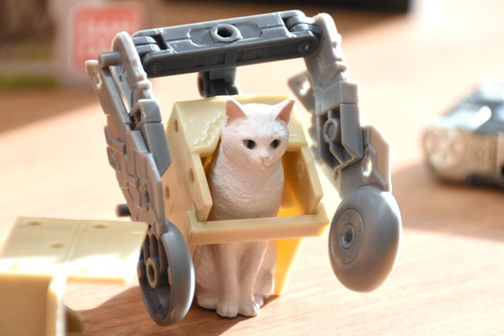 u˂ԂṽLb`Rs[́Au˂ɂ́wԂx悤v