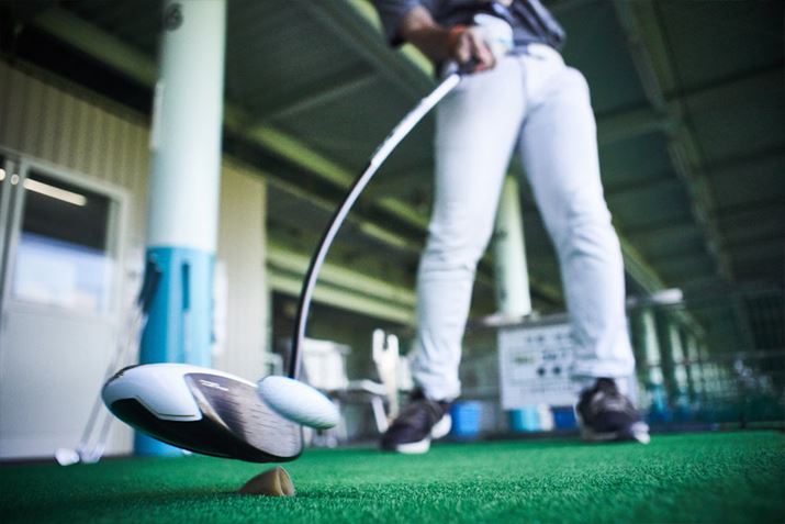 Vtg̓傫߂ŁAقǊ撣ȂĂV[vɐU₷dオł