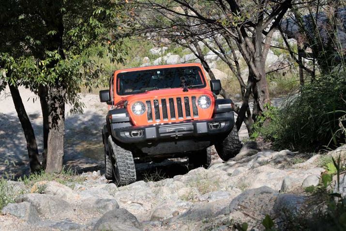 H𑖍sĂ̂ɏSn̂悳̂A11N̐îЂƂ