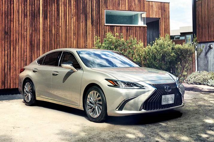 SASNTXuGSv傫NTXuESv