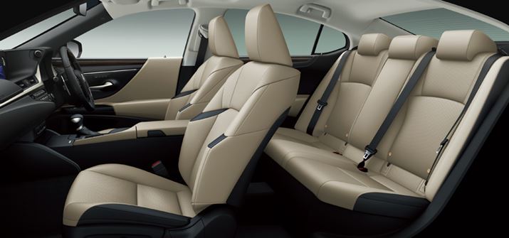 {fB傫NTXuESv́AȂȂLK